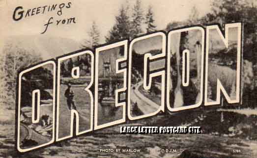 American Art 5784 Oregon large letter postcard