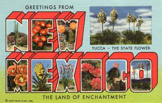 New Mexico large letter postcard checklist